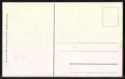 AK Dromedare bei der Tränke