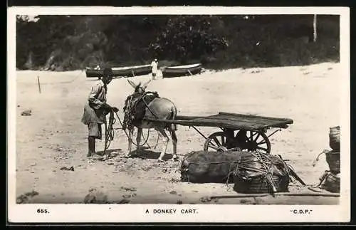 AK Eselgespann mit Besitzer am Strand