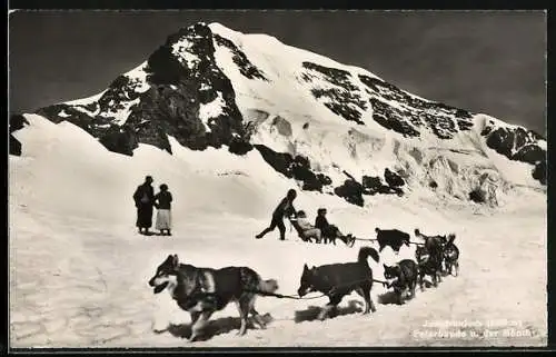 AK Jungfraujoch, Schlittenhunde mit Schlitten vor dem Mönch