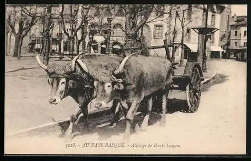 AK Au Pays Basque, Attelage de Boeufs basques