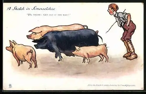 AK A Sketch in Somersetshire, Vier Schweine und ein Hirte