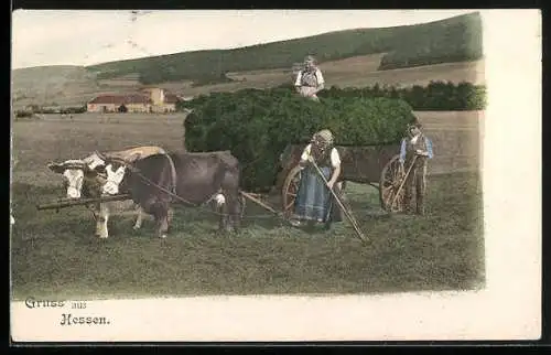 AK Hessen, Bauern beim Heuen mit Ochsen-Gespann