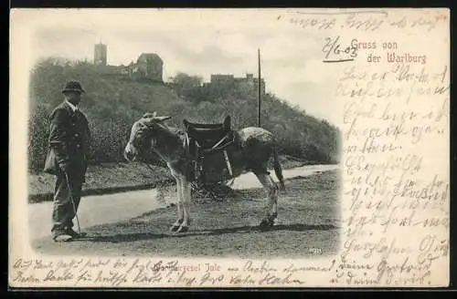 AK Wartburg, Wartburgesel Jule mit Wärter