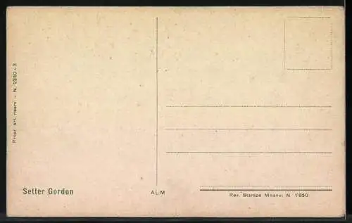 AK Setter Gordon am Ufer eines Gewässers