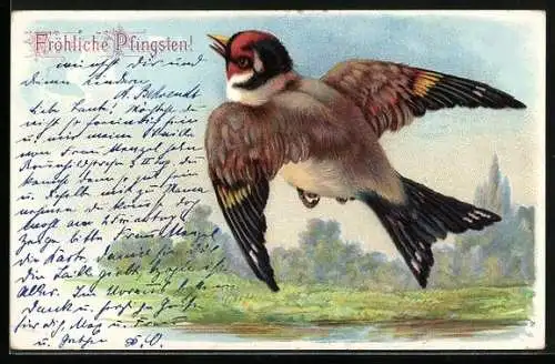 AK Fliegende Schwalbe im Frühling, Pfingstgruss