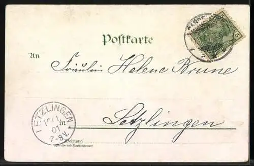 Lithographie Marienkäfer und fliegende Biene mit Margeriten und Vergissmeinnicht