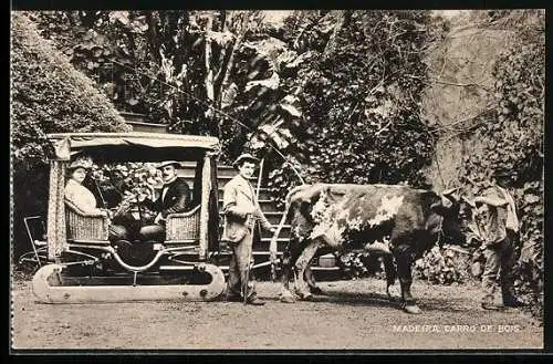 AK Madeira, Carro de Bois