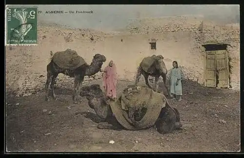 AK Algerie, Un Fondouck, Chameaux