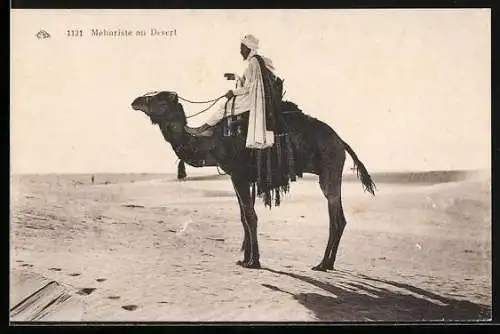 AK Méhariste au Desert, Chameau