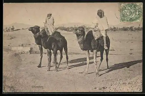 AK Zwei Beduinen auf dem Rücken ihrer Kamele