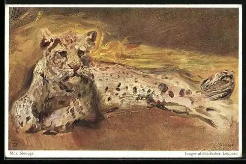 Künstler-AK sign. Max Slevogt: Junger afrikanischer Leopard