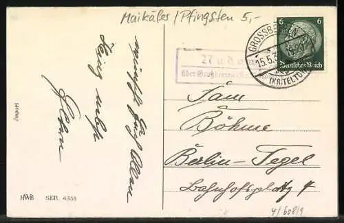 AK Maikäfer-Parade auf einem Birkenzweig, Pfingstgruss
