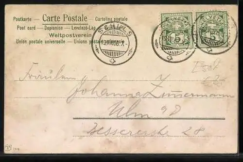 AK Kind mit einem Maultier auf der Wiese