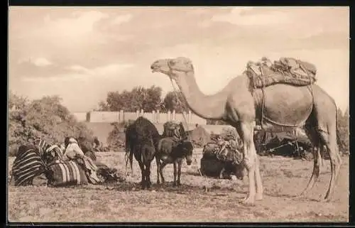 AK Tunisie, Campement de Bdouines