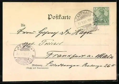 AK Kleine Katze mit auslaufender Flasche, Berliner Tierschutz-Verein