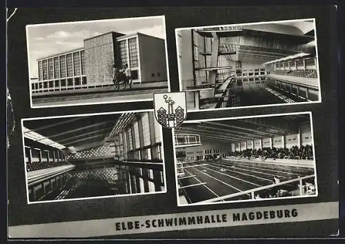 AK Magdeburg, Elbe-Schwimmhalle, Innenansicht