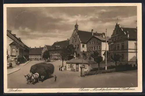 AK Dachau, Oberer Marktplatz mit Rathaus, Ochsengespann