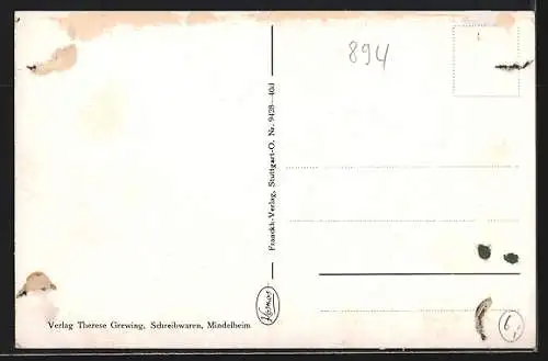 AK Mindelheim, Mindelburg