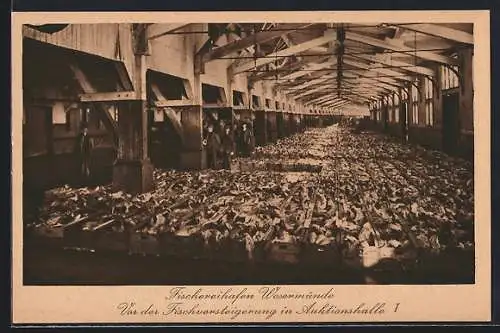 AK Wesermünde, Fischereihafen, Auktionshalle mit Fisch