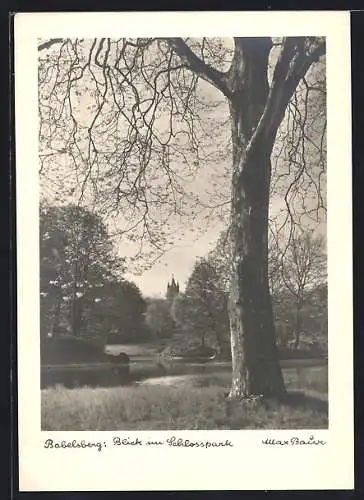Foto-AK Max Baur: Babelsberg, Blick im Schlosspark