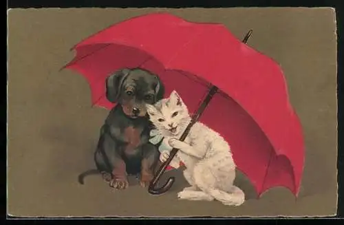 AK Hund und Katze unter einem Regenschirm