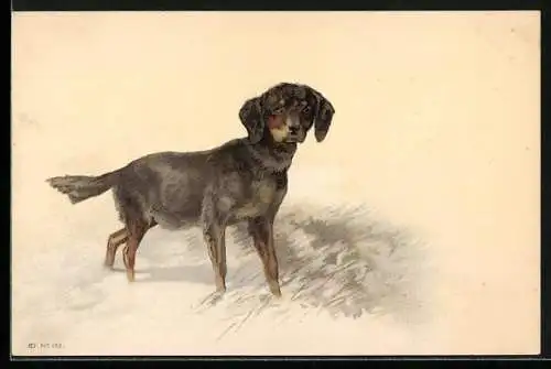 Künstler-AK Hund auf einem Feld