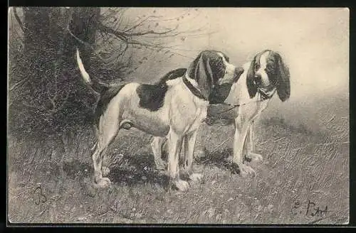 Künstler-AK Zwei Hunde am Waldrand