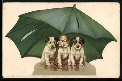 Künstler-AK Drei Welpen unter einem Regenschirm
