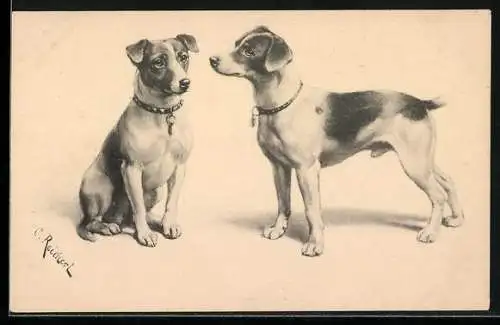 Künstler-AK Carl Reichert: sign. C. Reichert: Zwei Hunde mit Halsbändern