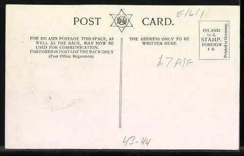 AK London, Free Drink for Mans best Friend