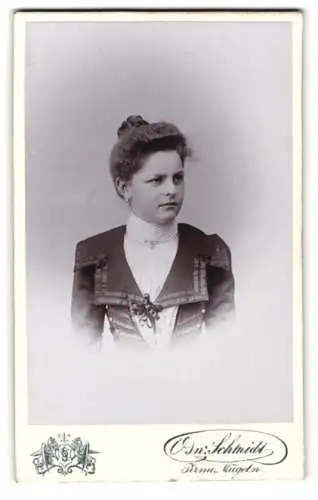 Fotografie Osw. Schmidt, Pirna, Jacobäerstrasse, Porträt einer jungen Frau