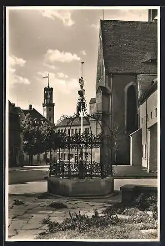 AK Zittau, Der Grüne Born am Museum mit Rathausturm