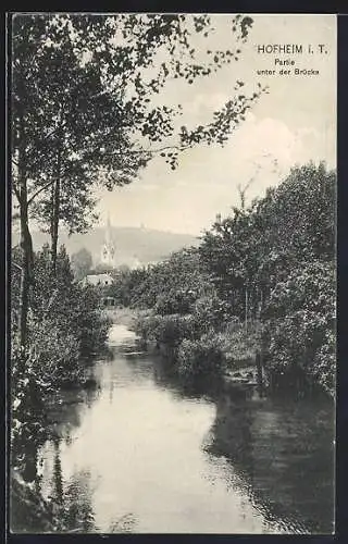 AK Hofheim i. T., Partie unter der Brücke