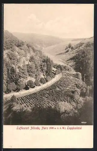 AK Allrode /Harz, Teilansicht mit Weinhang aus der Vogelschau
