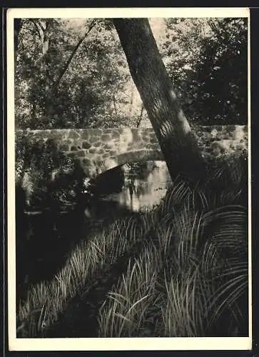 AK Friedensau /Magdeburg, Flusspartie mit Steinbrücke
