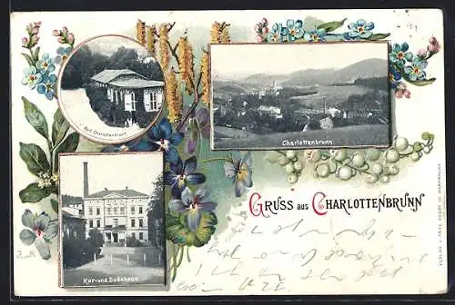 Lithographie Charlottenbrunn, Kur- und Badehaus, Ortspartie, Teilansicht, Veilchen, Passepartout