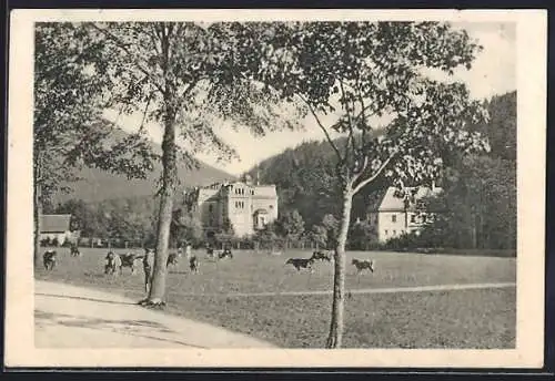 AK Schmidtsdorf-Görbersdorf /Kr. Waldenburg, Dr. Weicker`s Sanatorium Marienhaus