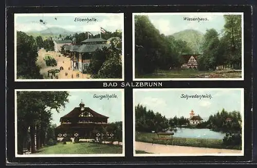 AK Bad Salzbrunn, Hotel Wiesenhaus, Gurgelhalle, Elisenhalle