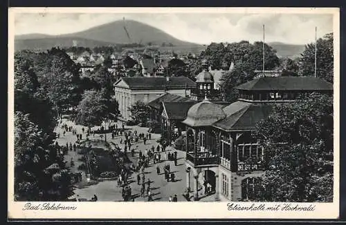 AK Bad Salzbrunn, Elisenhalle mit Hochwald