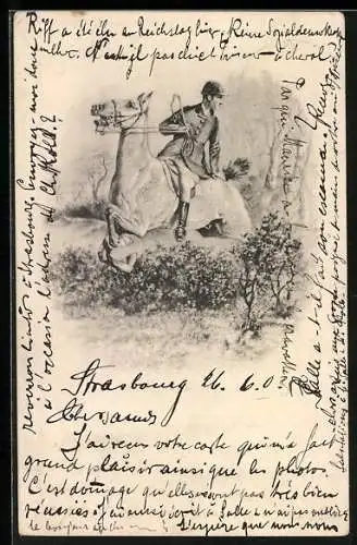 AK Reiter auf einem Schimmel beim Setzen über eine Hecke