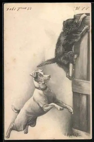 AK Hund jagt eine Katze auf den Schrank