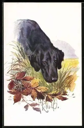Künstler-AK schwarzer Jagdhund schnüffelt am Blattlaub