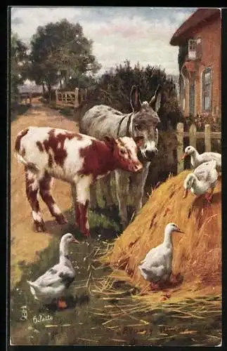 AK Esel, Kalb und Gänse versammeln sich am Misthaufen eines Bauernhofs