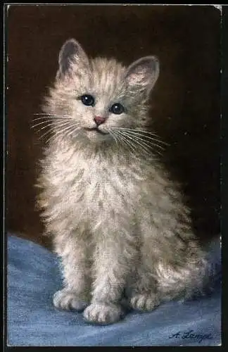 Künstler-AK Junge weisse Katze