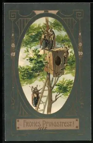AK Maikäfer am Vogelnistkasten in einem Baum, Pfingstgruss