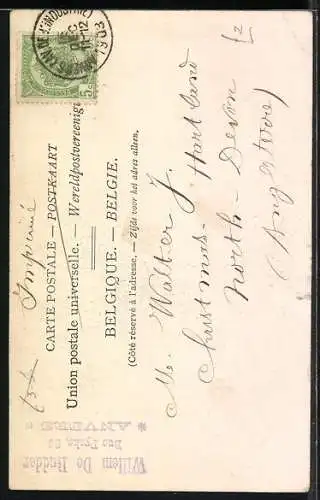 AK Attelage de chiens flamand