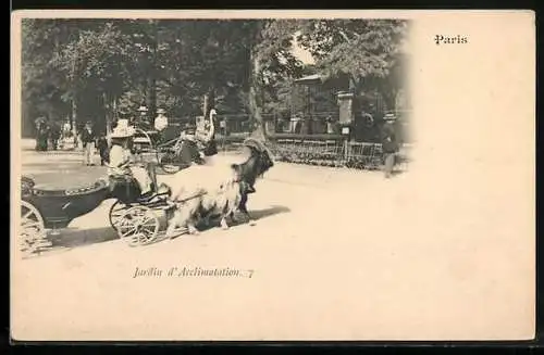 AK Paris, Jardin d`Acclimatation, Dame im Ziegenwagen
