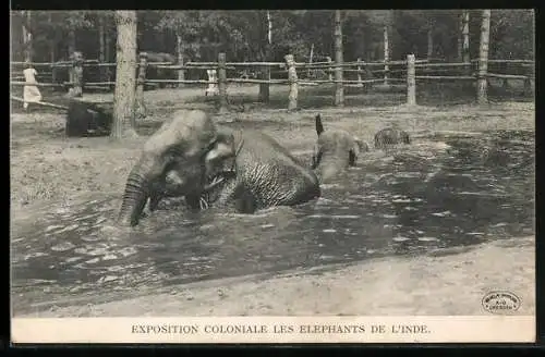 AK Exposition Coloniale, Les Elephants de l`Inde