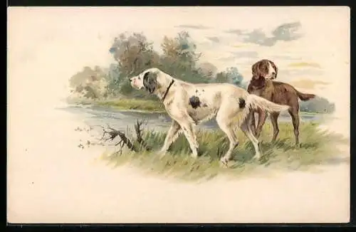Lithographie Jagdhunde auf der Pirsch