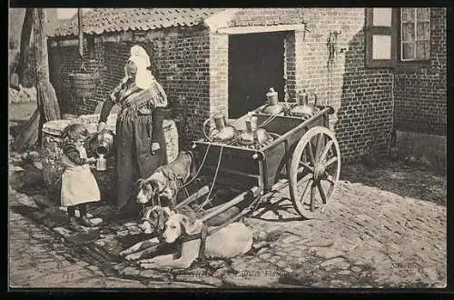 AK Belgique, Laitiere Flamande, flämische Milchfrau mit ihrem Hundegespann